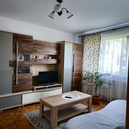 Studio Bulevardul Victoriei Brasov Exterior photo
